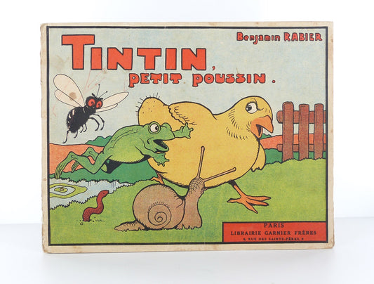 Tintin, little chick