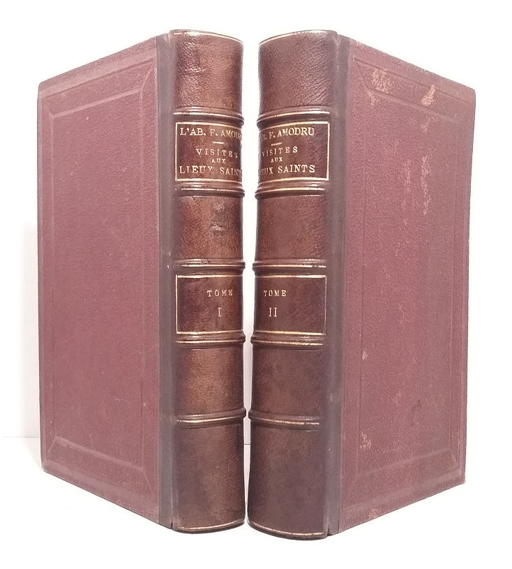 Visite aux lieux saints dans l'ordre des faits évangéliques ou Stations de la N.-S. Jésus-Christ - Tomes I & II