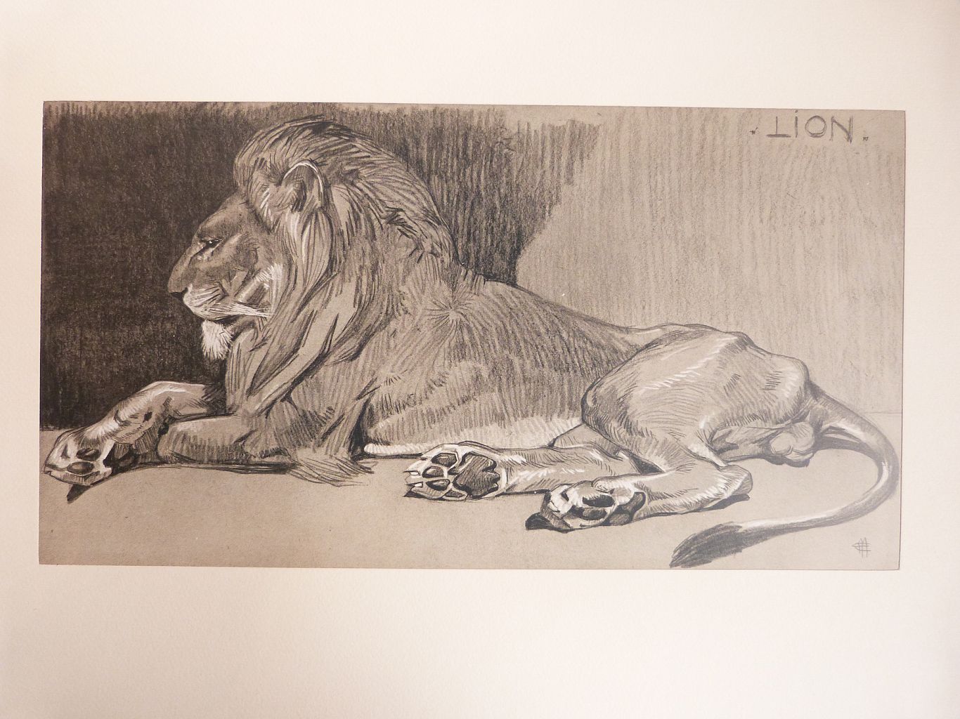 Études d’animaux.