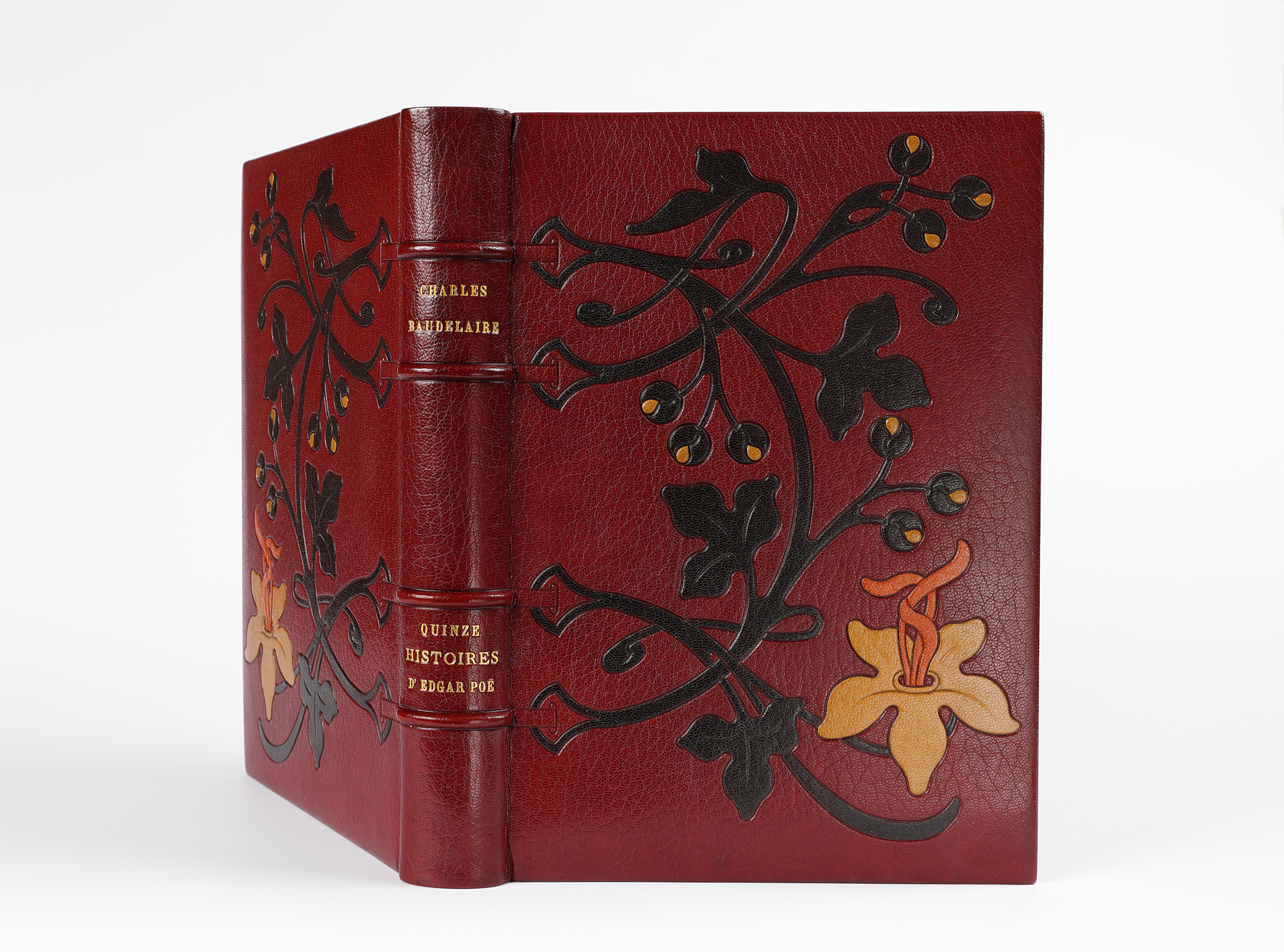 Quinze histoires d’Edgar Poe