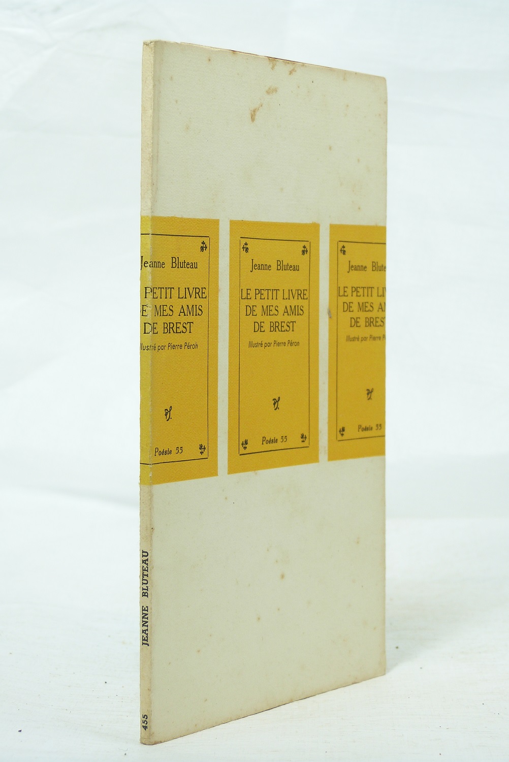 Le petit livre de mes amis de Brest