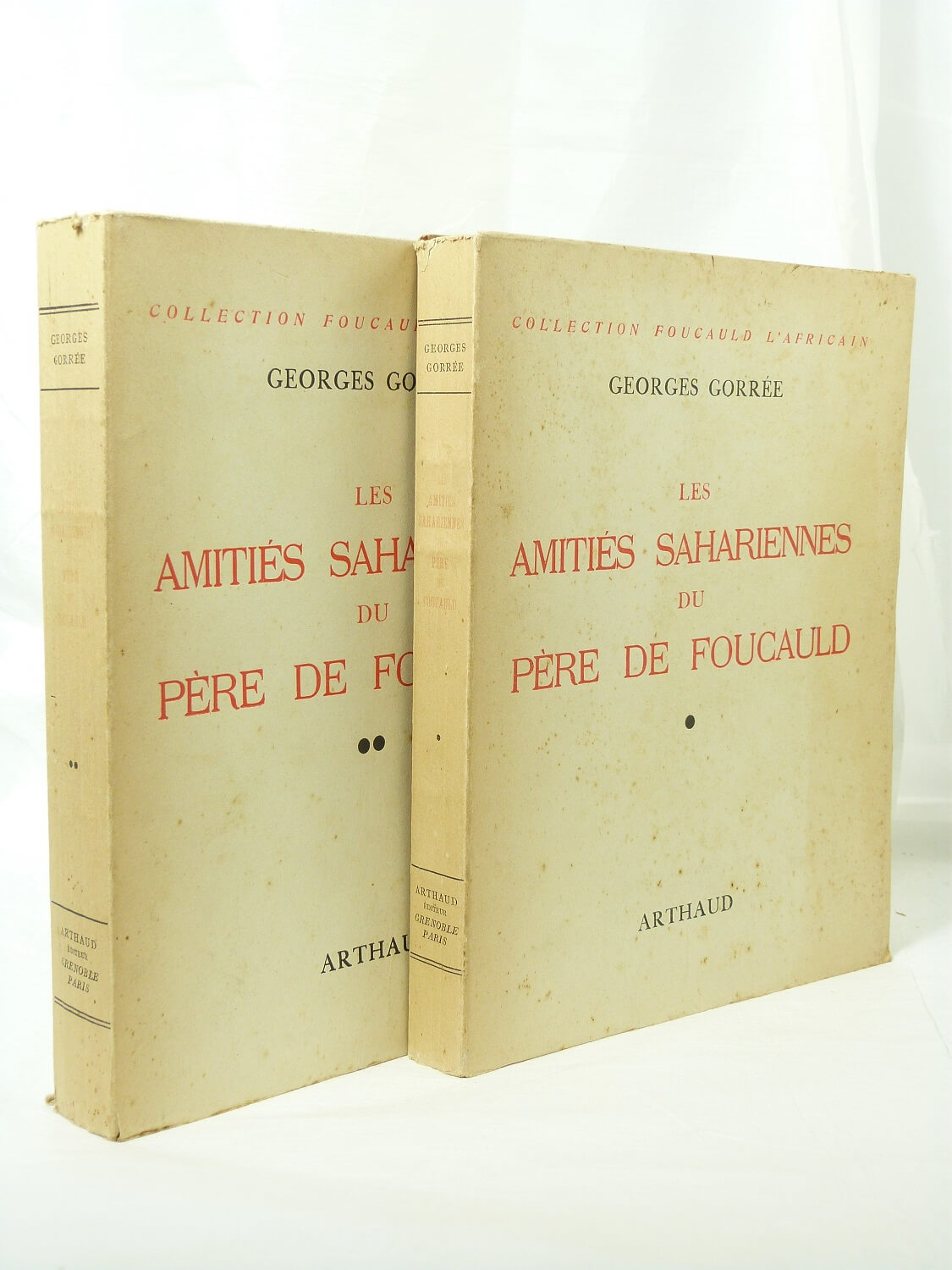 Les amitiés sahariennes du père de foucauld