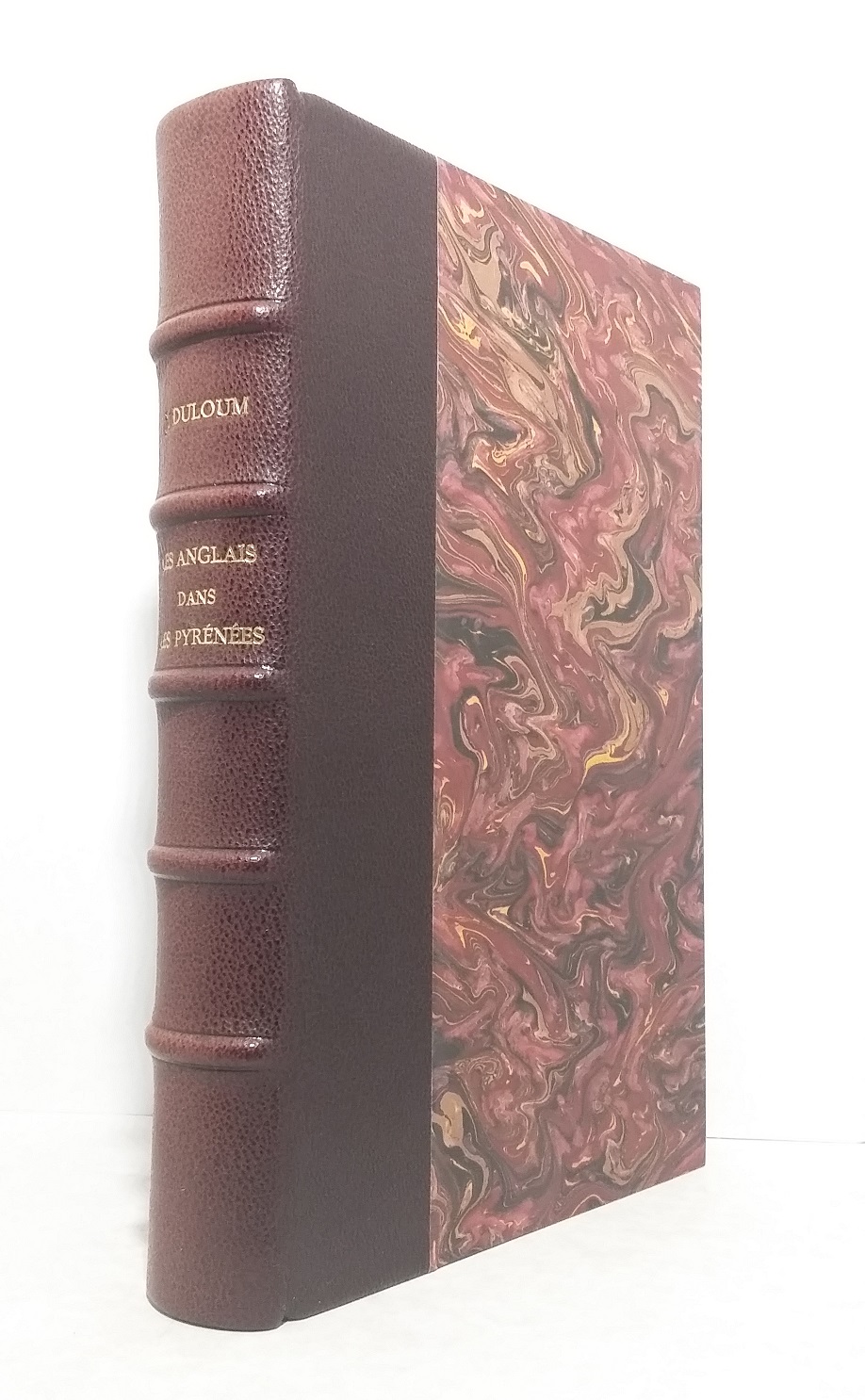 Les Anglais dans les Pyrénées et les débuts du tourisme pyrénéen (1739-1896)