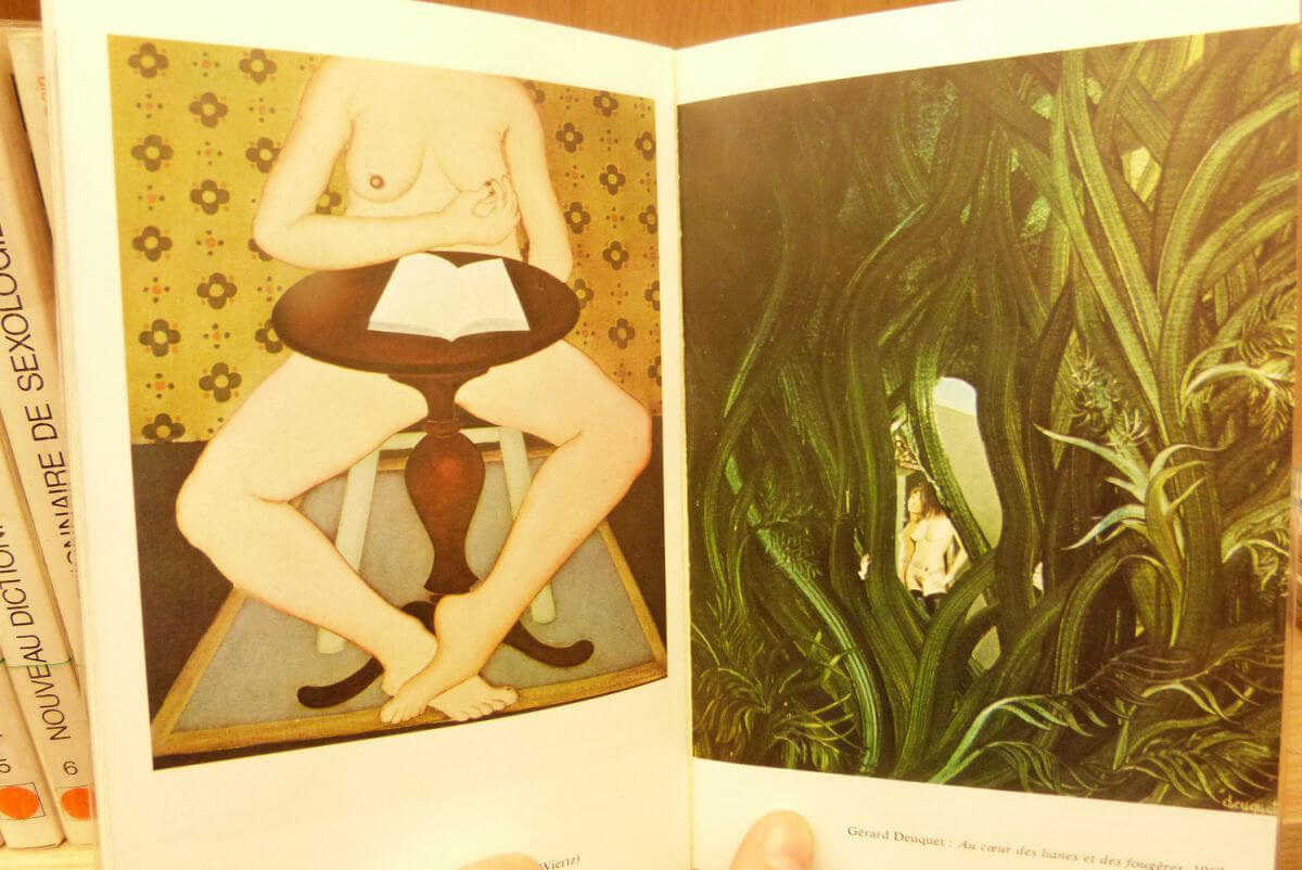 Nouveau dictionnaire de sexologie