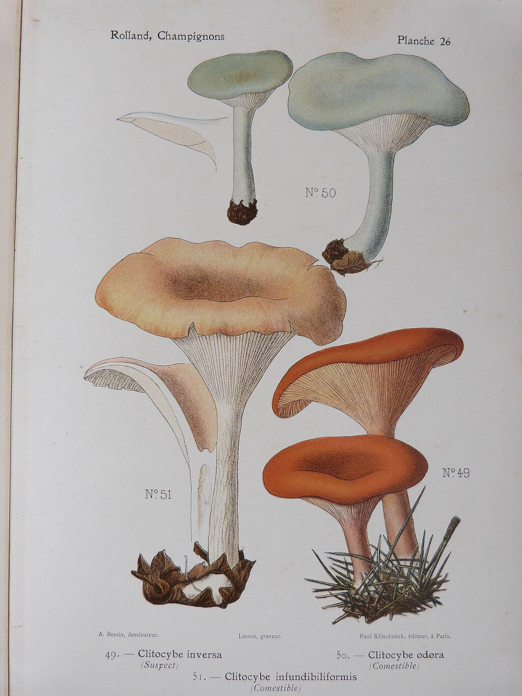 Atlas des champignons de France,