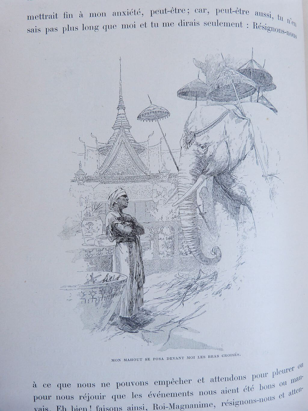 Mémoires d'un éléphant blanc