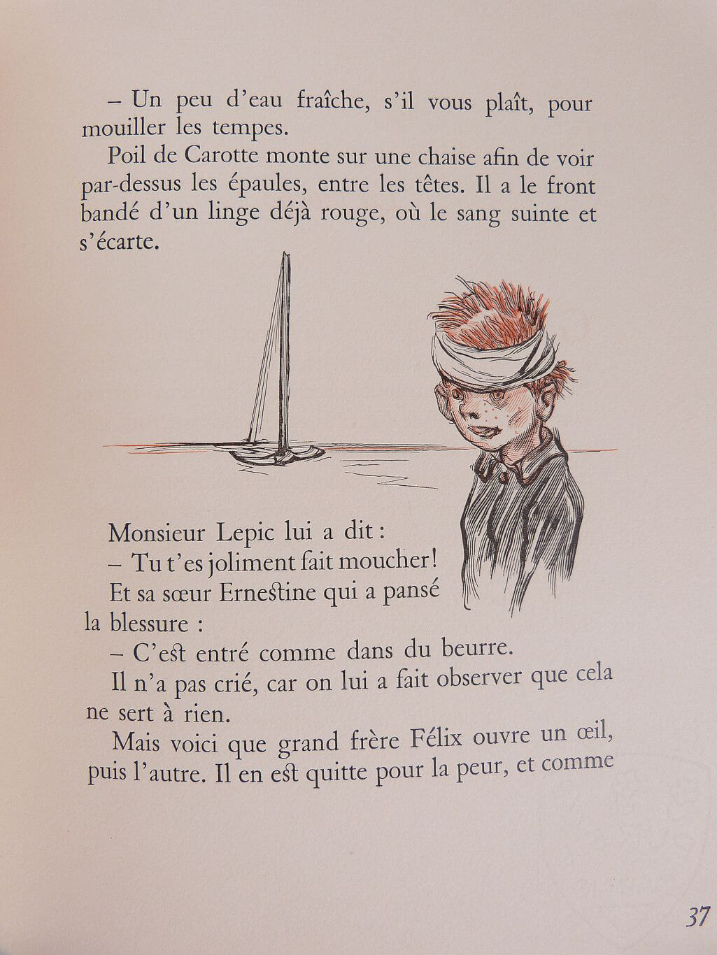Poil de carotte
