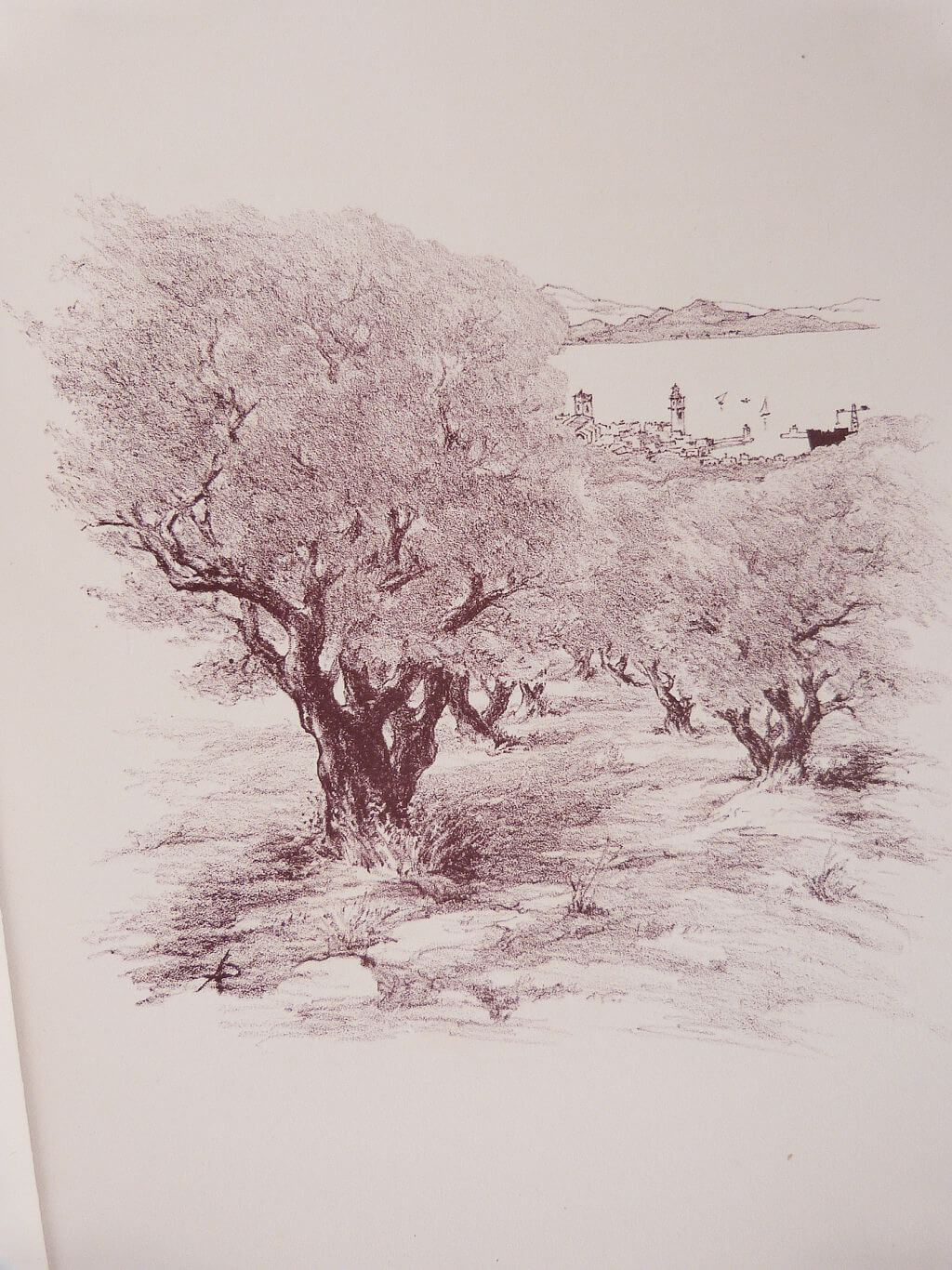 Les arbres enchantés