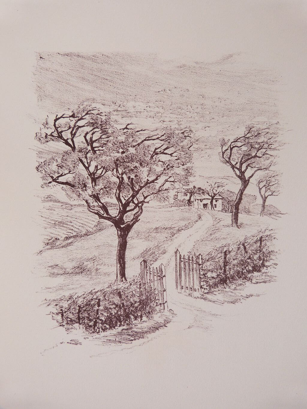 Les arbres enchantés
