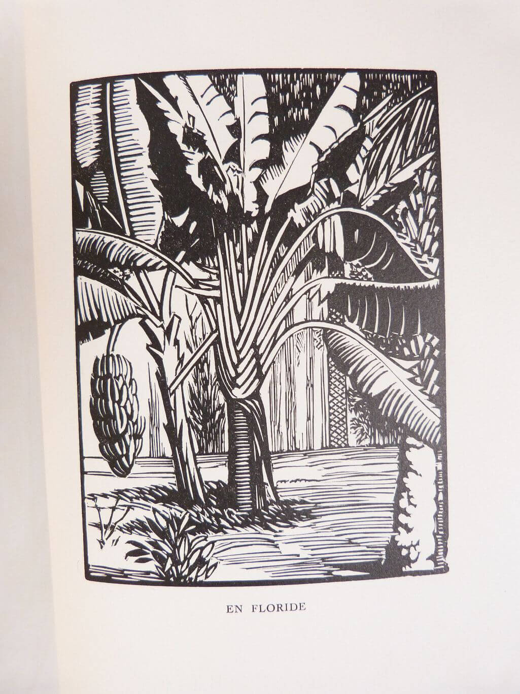 Images d'Amérique