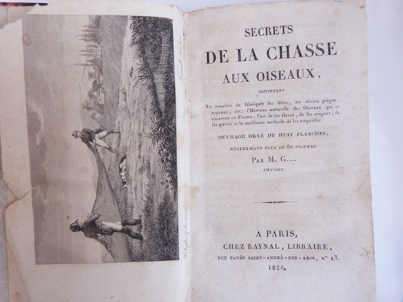 Secrets de la chasse aux oiseaux