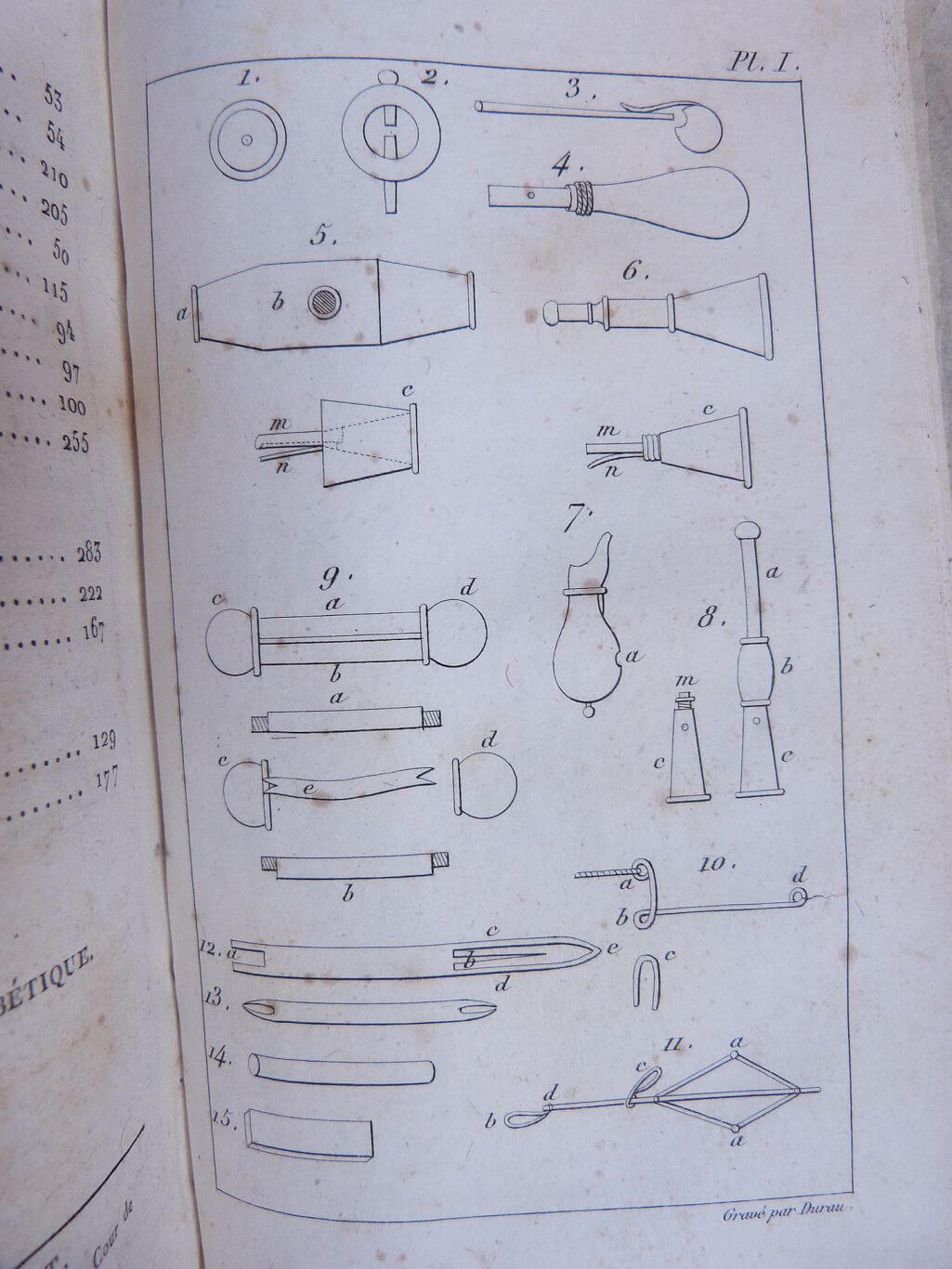 Secrets de la chasse aux oiseaux