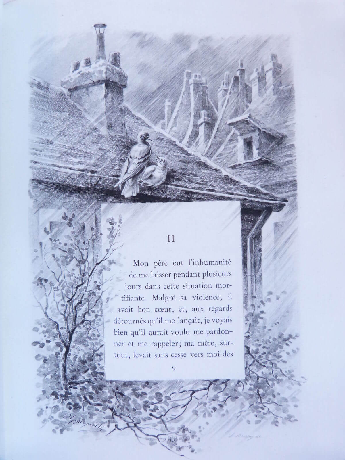 Histoire d'un merle blanc