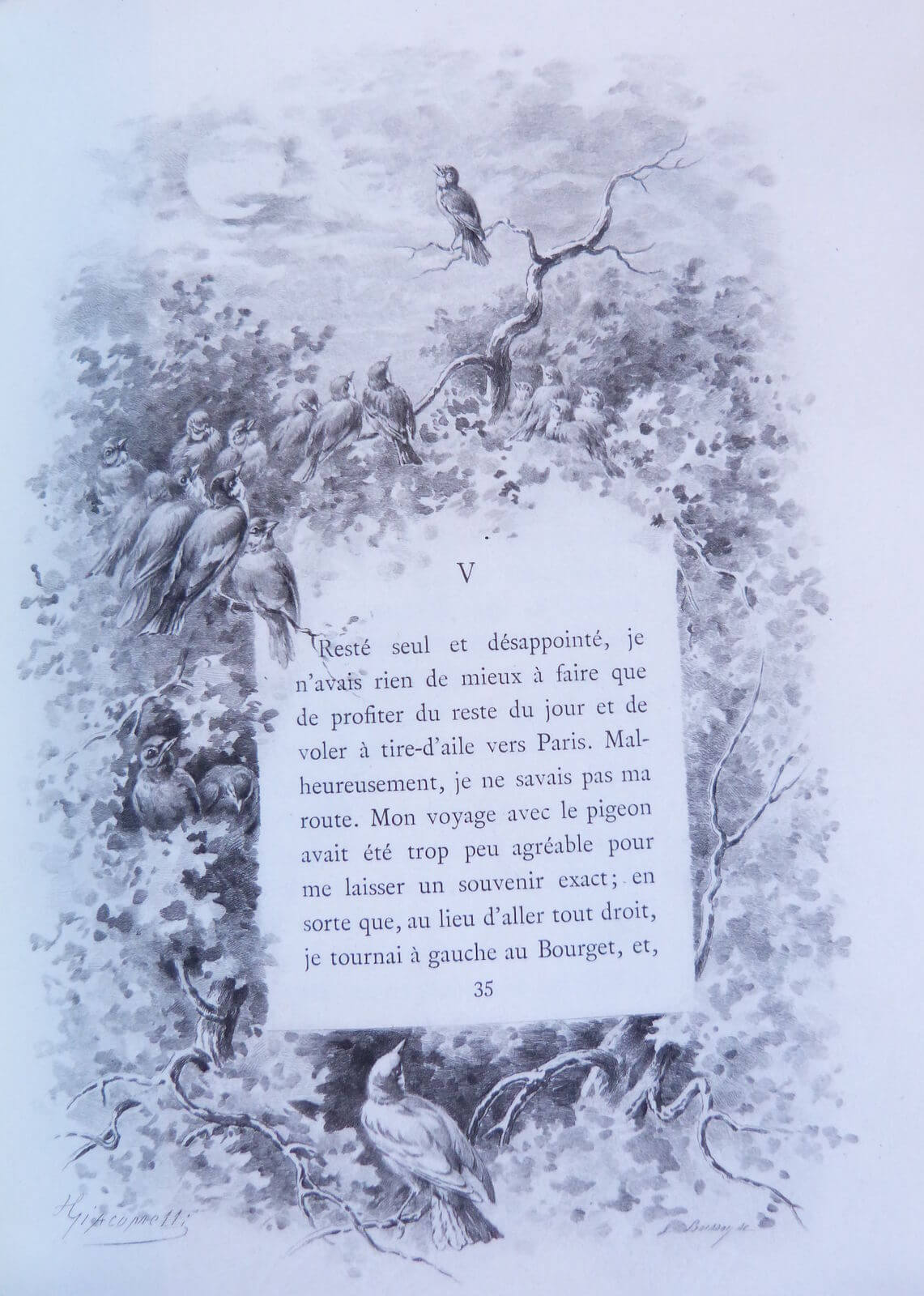 Histoire d'un merle blanc