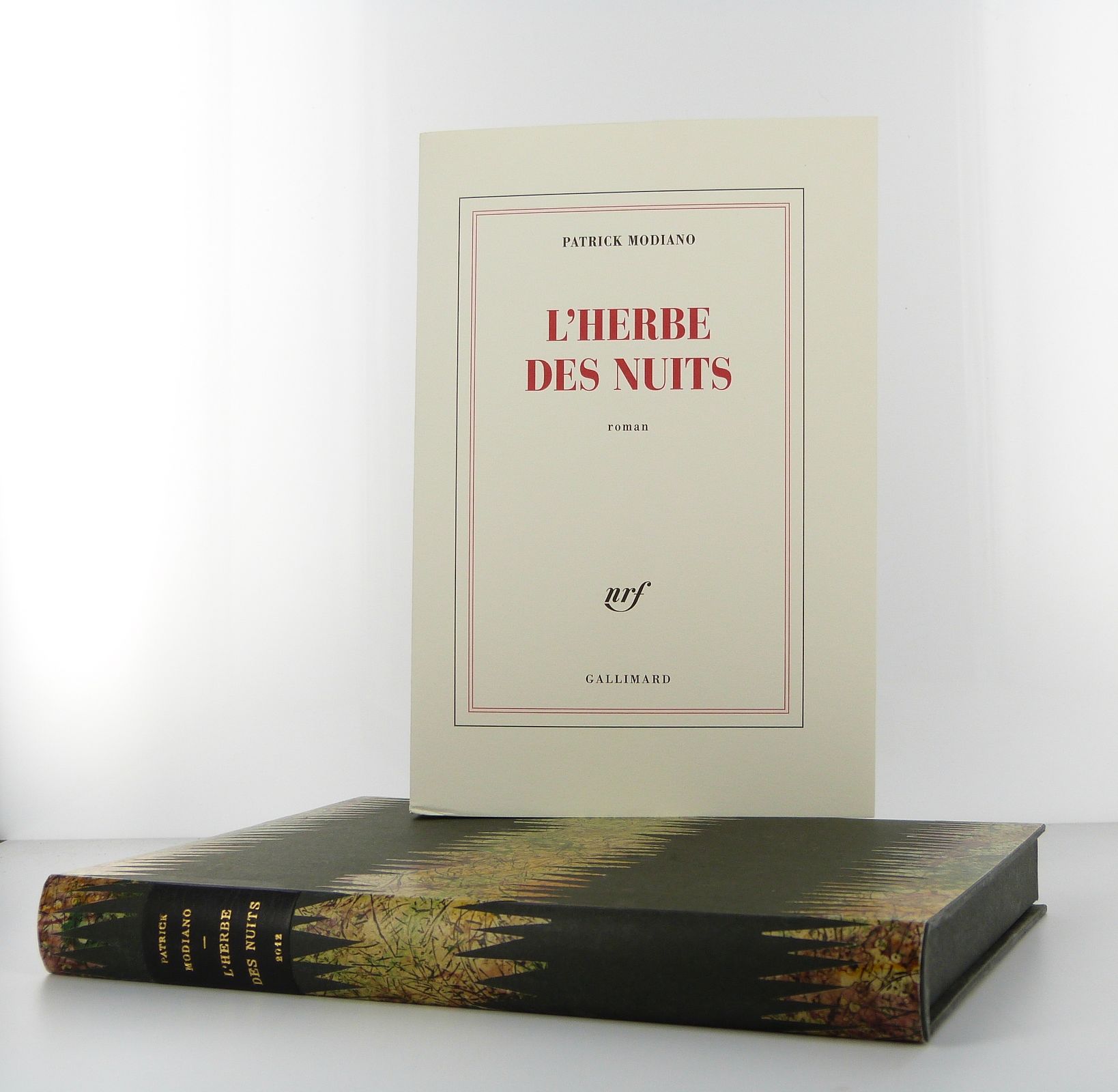 L'herbe des nuits