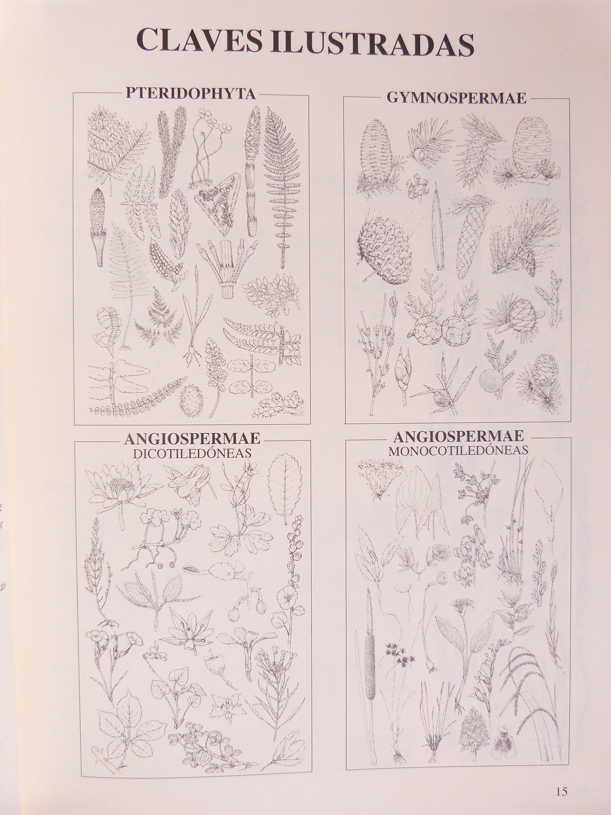 Claves ilustradas de la flora del País Vasco y territorios limítrofes