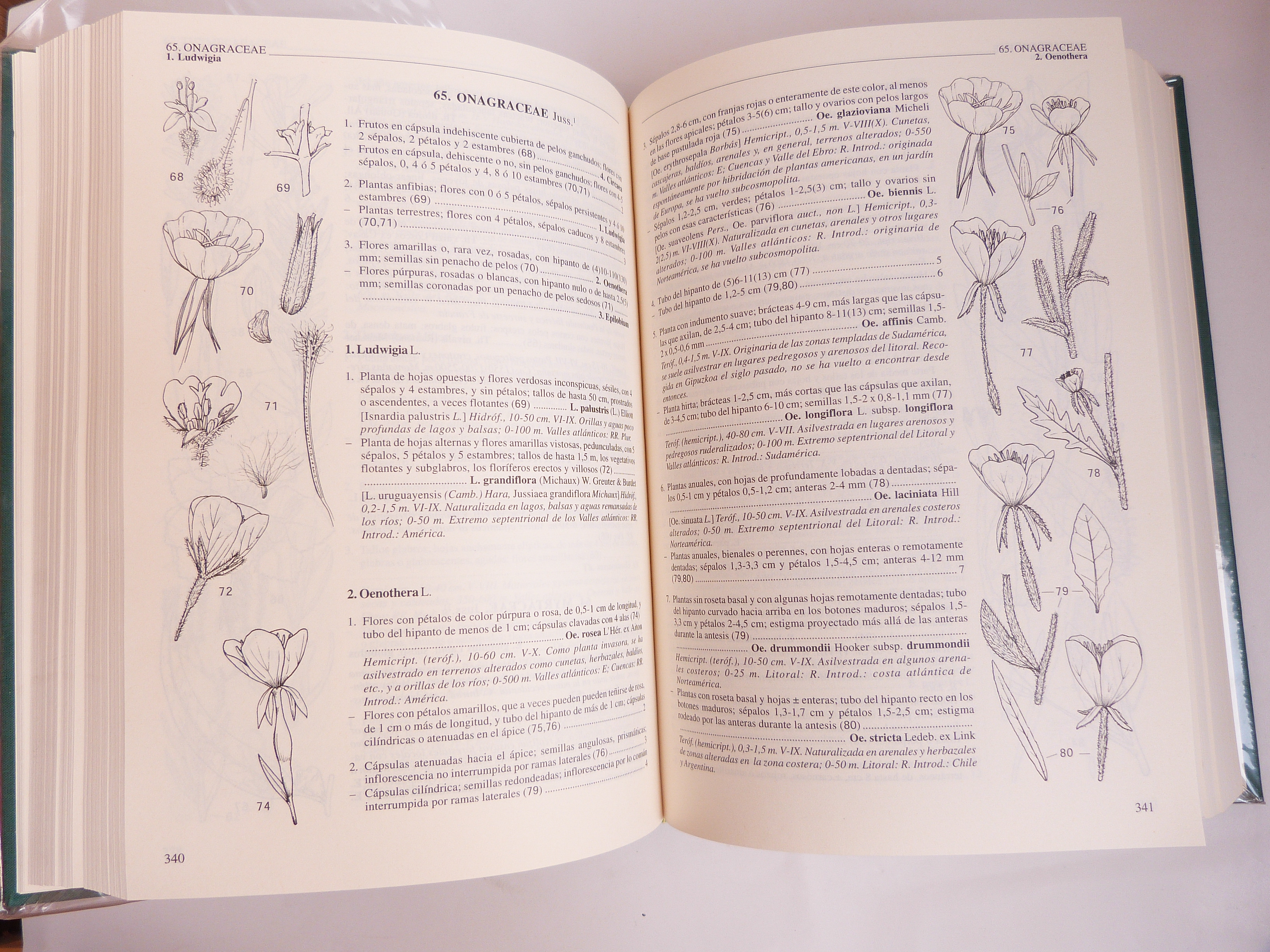 Claves ilustradas de la flora del País Vasco y territorios limítrofes