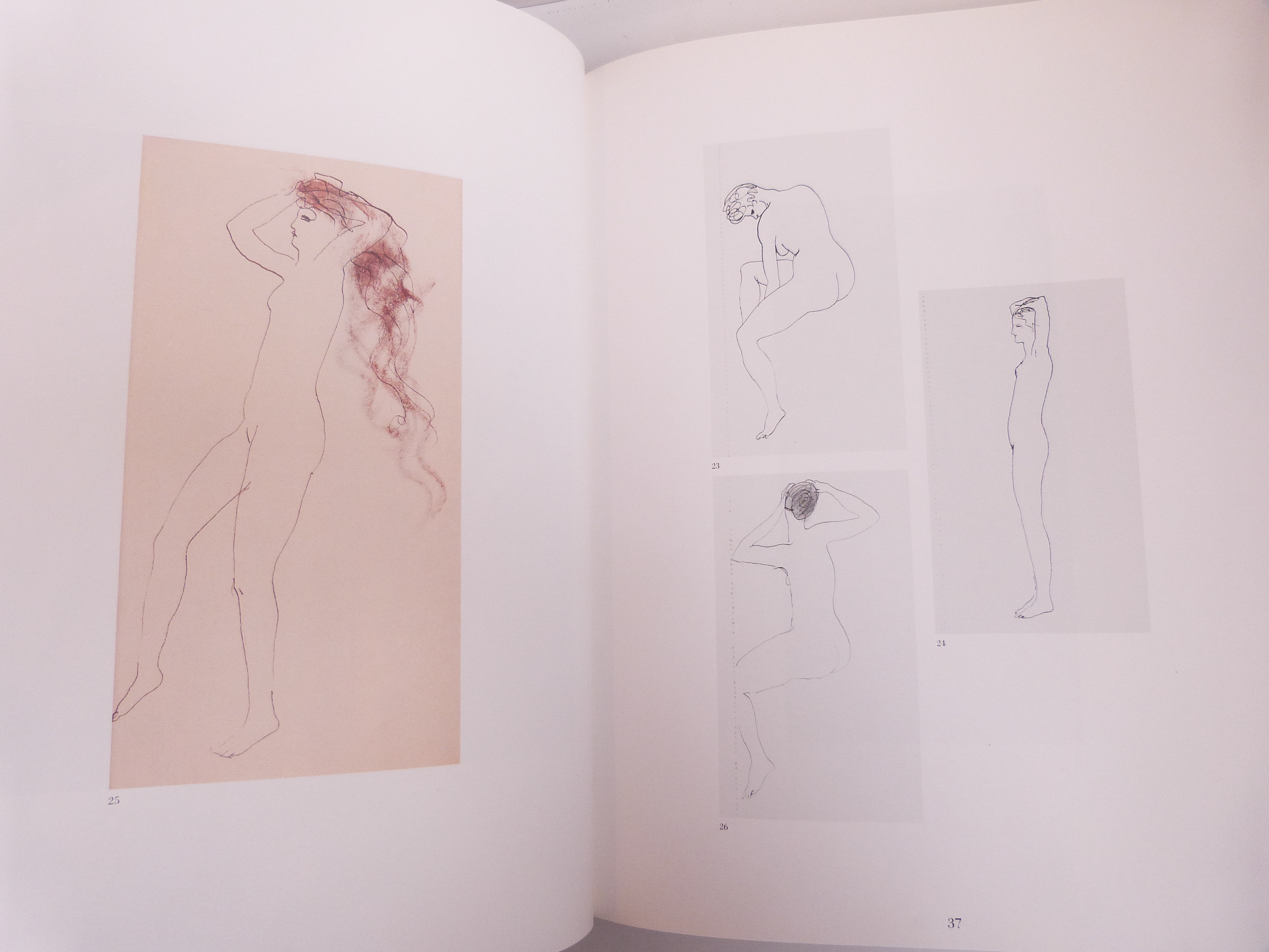 Les carnets de Picasso