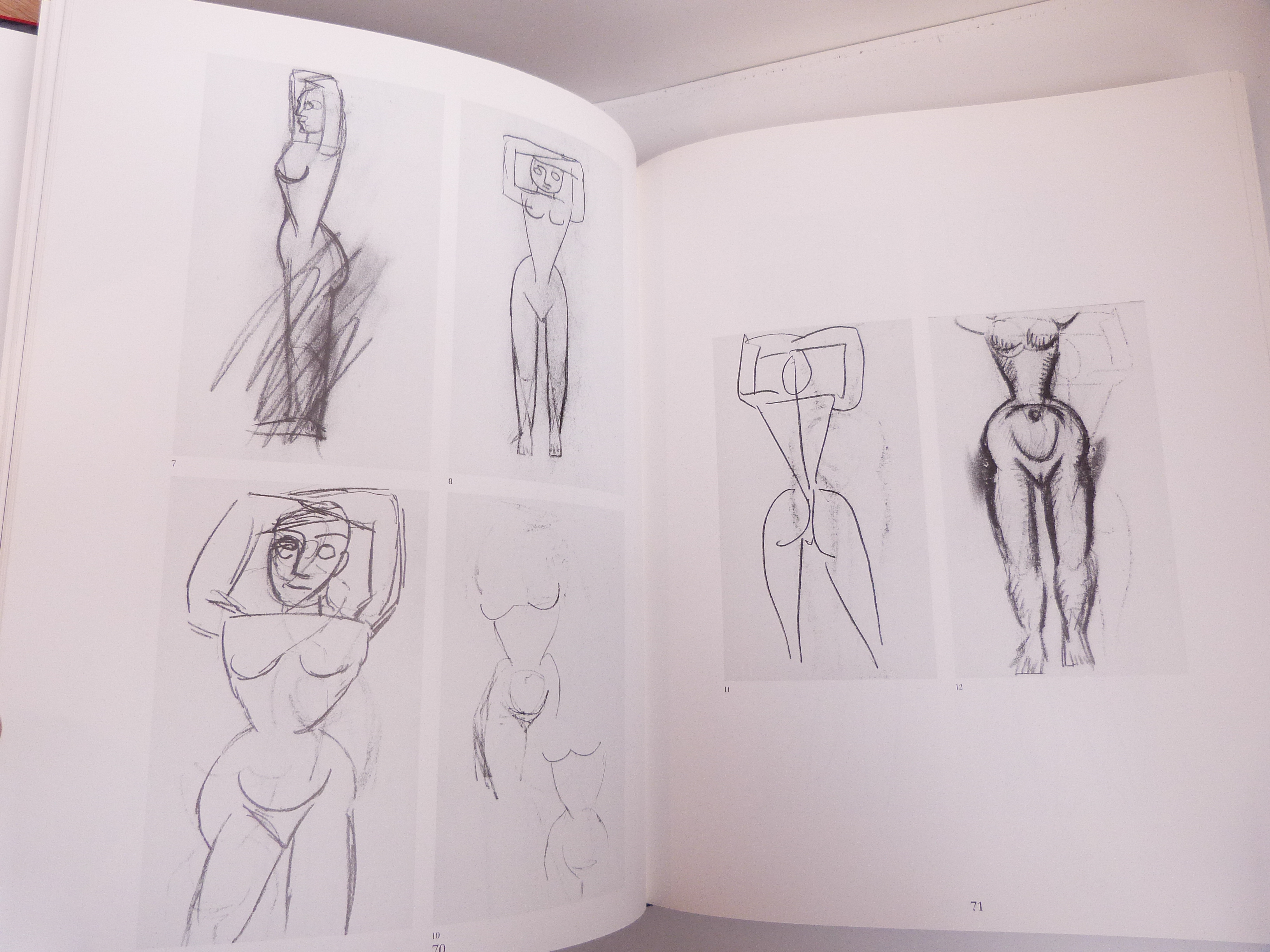 Les carnets de Picasso