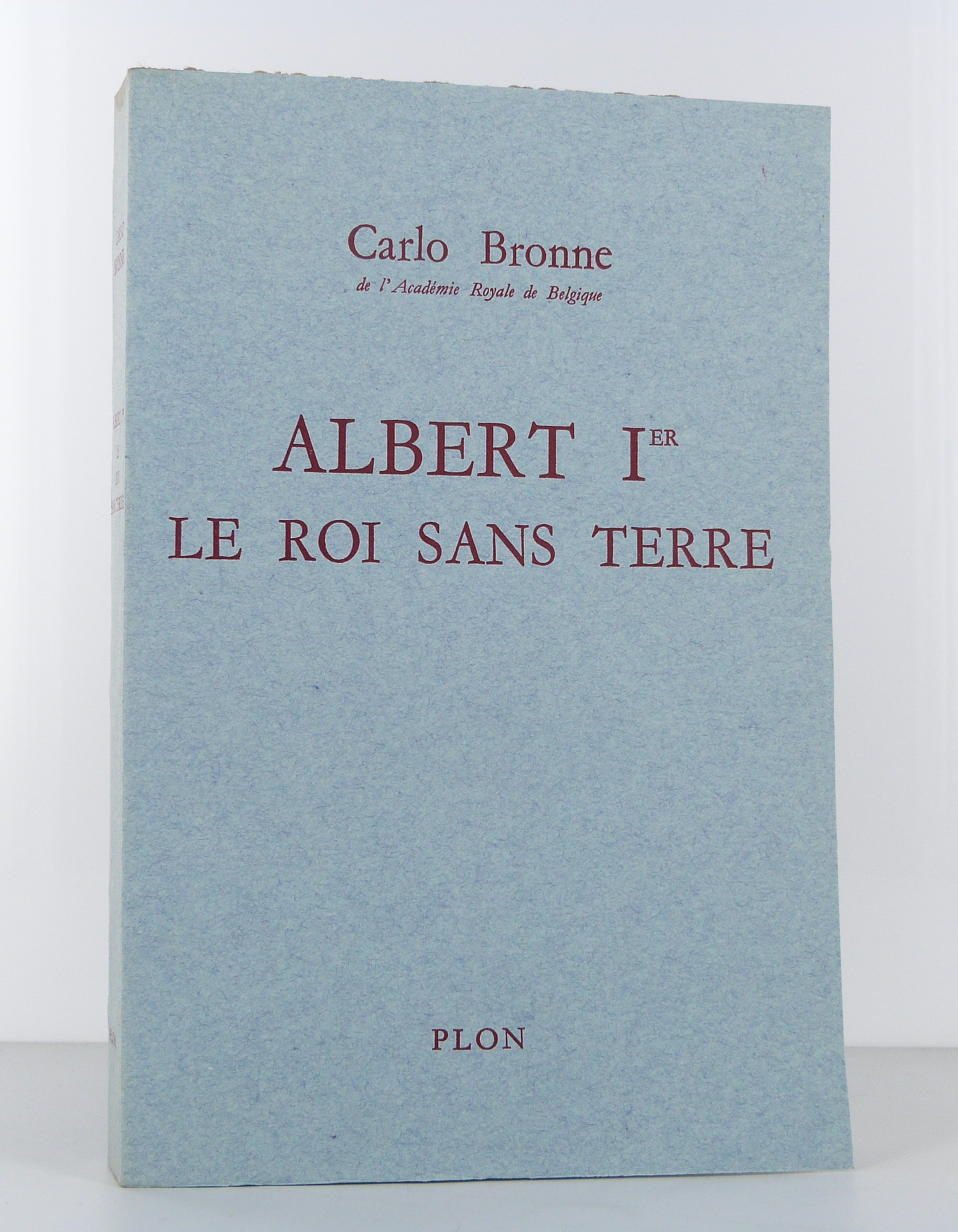 Albert Ier, le roi sans terre