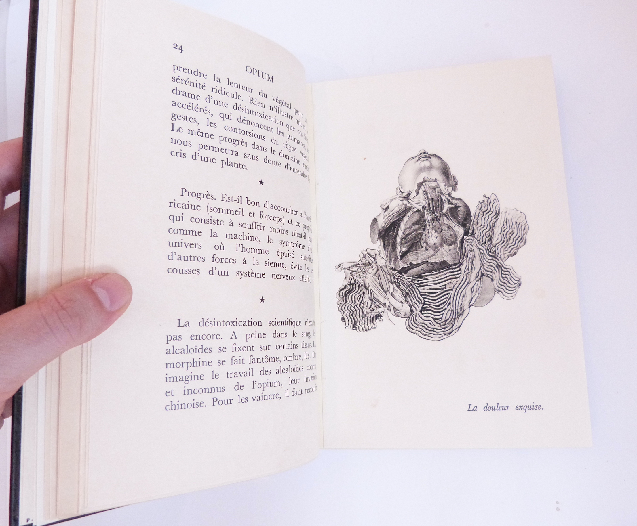 Opium, journal d'une désintoxication
