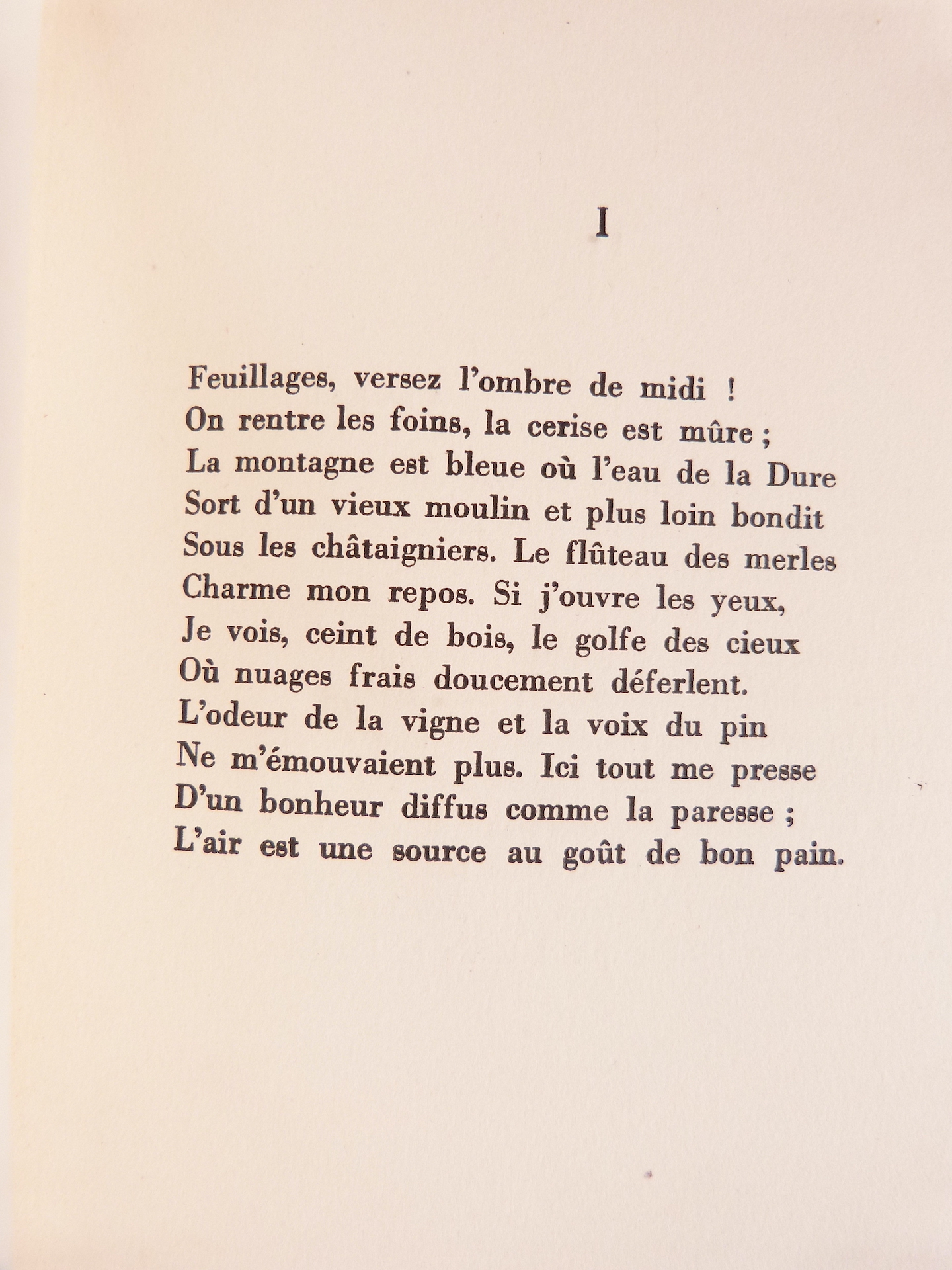 Montagne-Noire