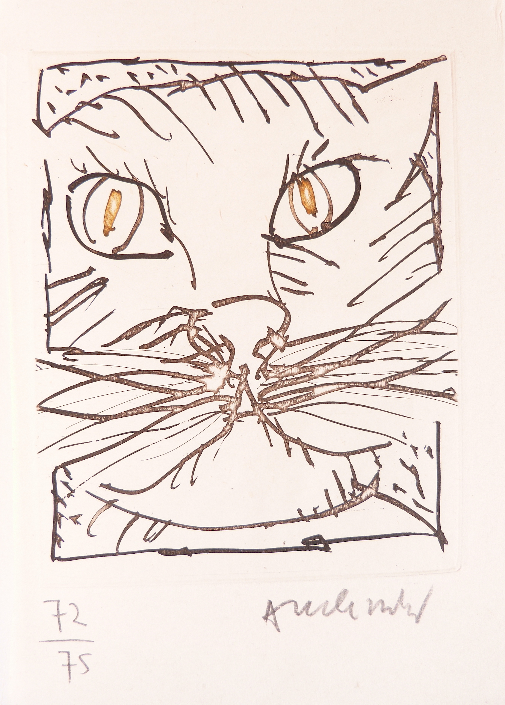 Monsieur Mouton