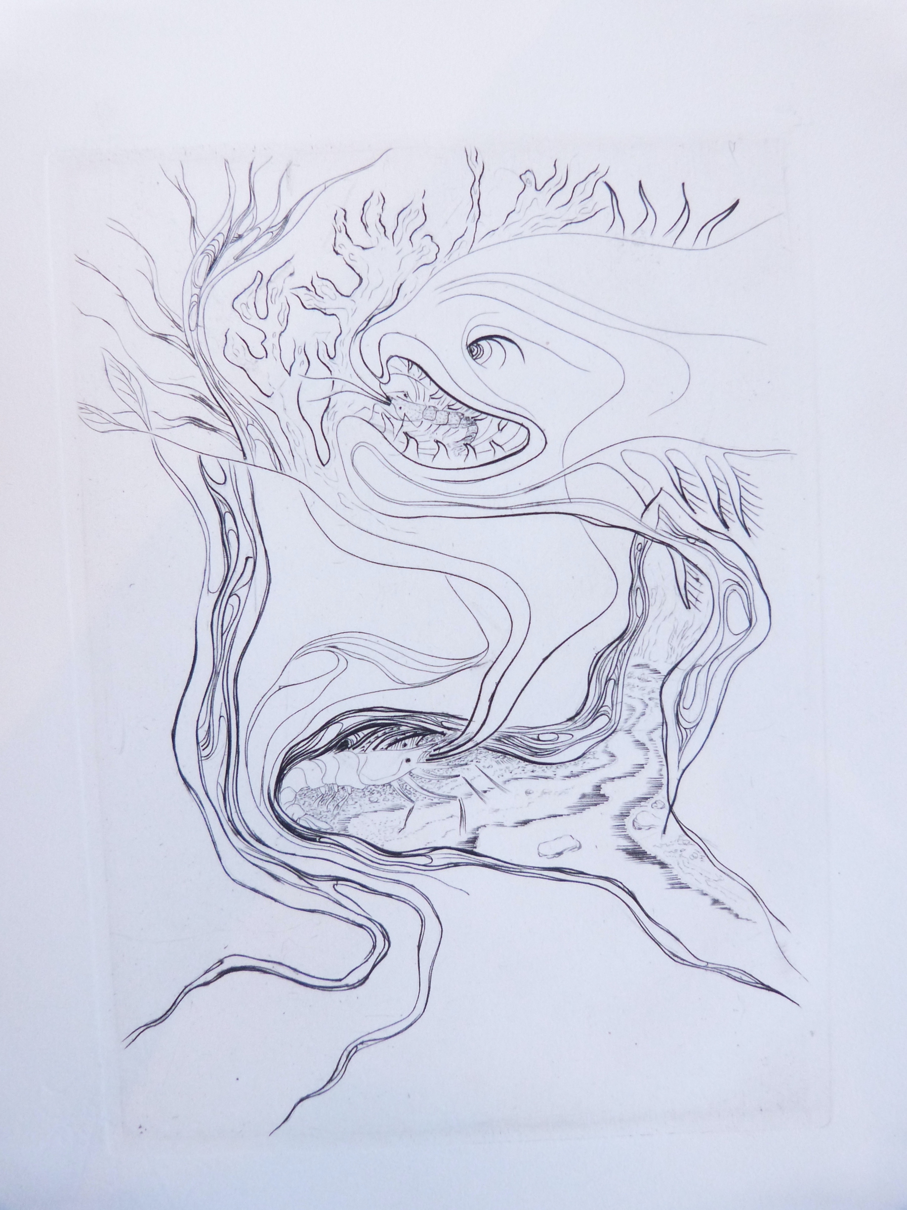 La Crevette dans tous ses états