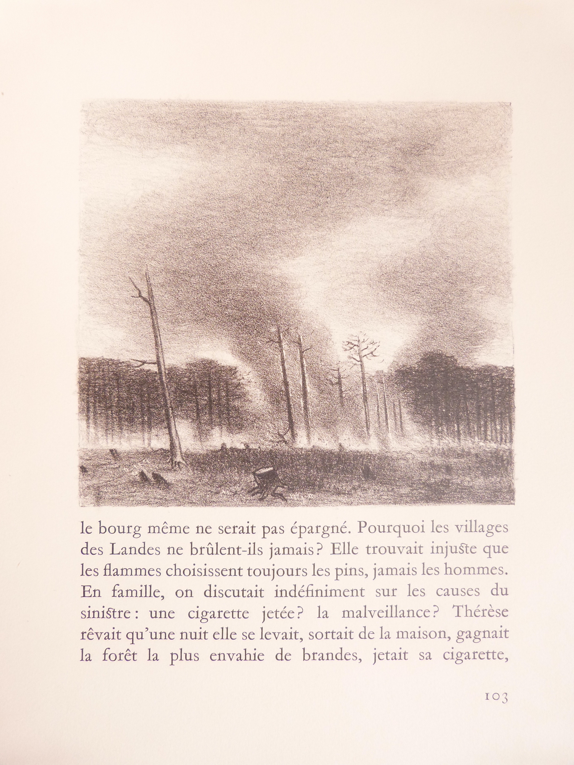 Thérèse Desqueyroux