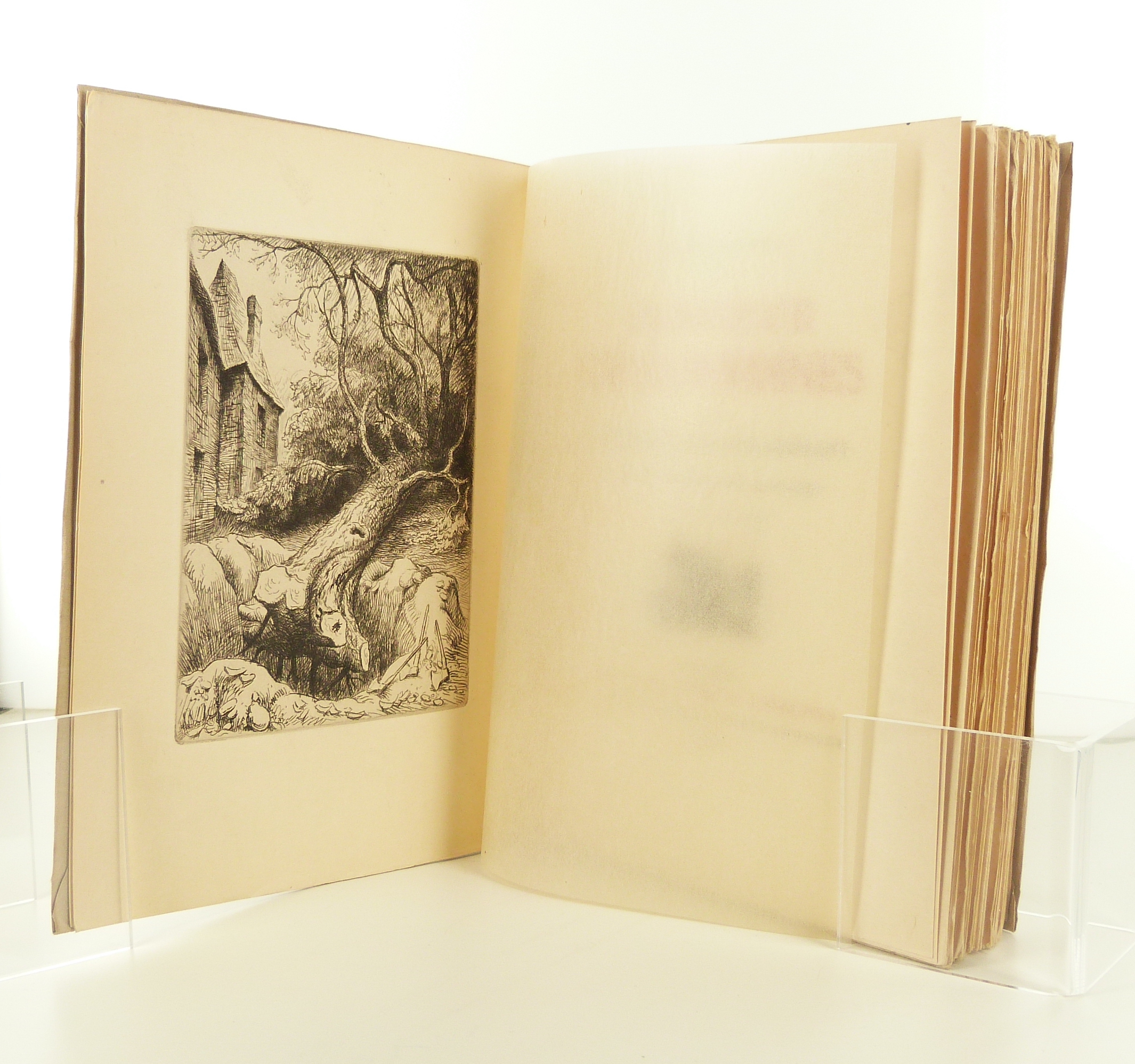 Monsieur des Lourdines.