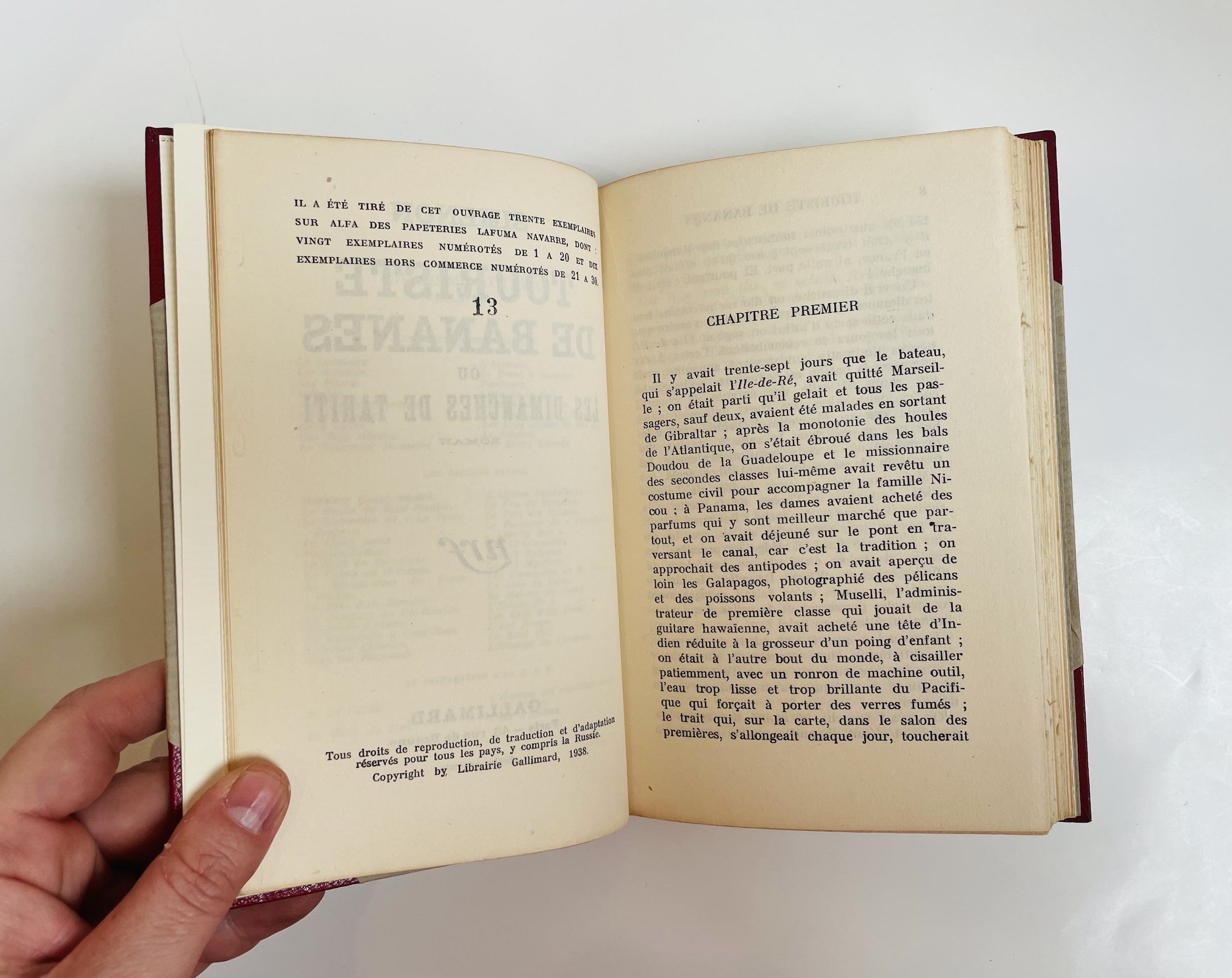 Touriste de Bananes ou les dimanches de Tahiti